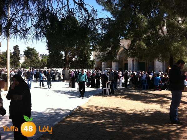 yaffa aqsa 0414 (44).JPG